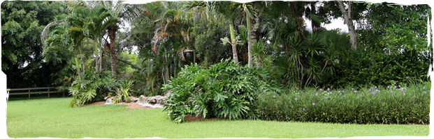 Gator Park