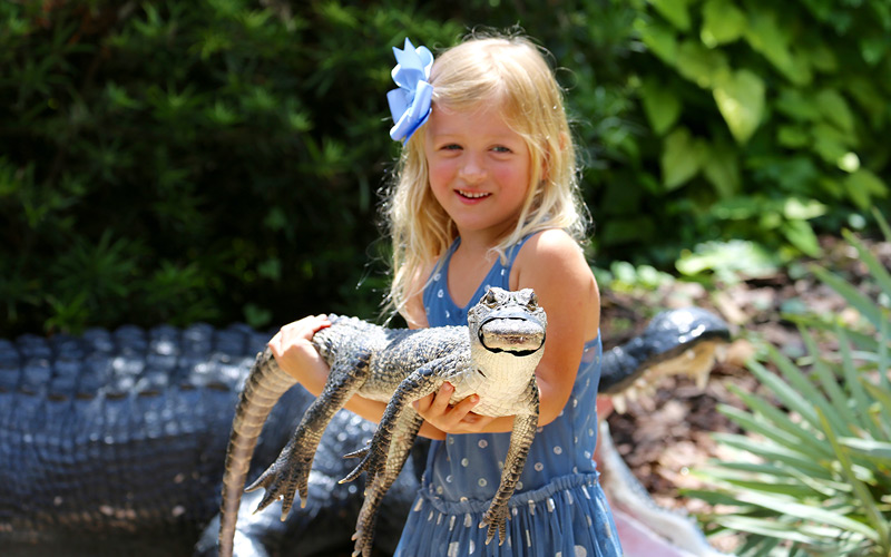 Image result for girl with alligator
