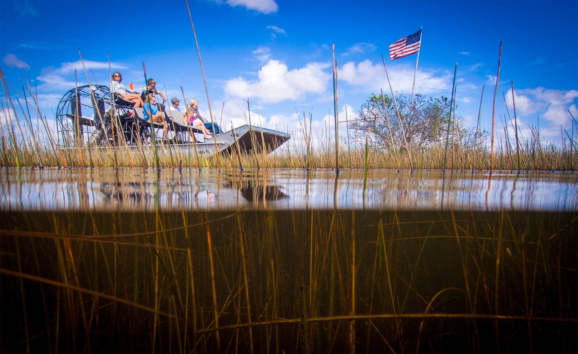 gator airboat tours everglades