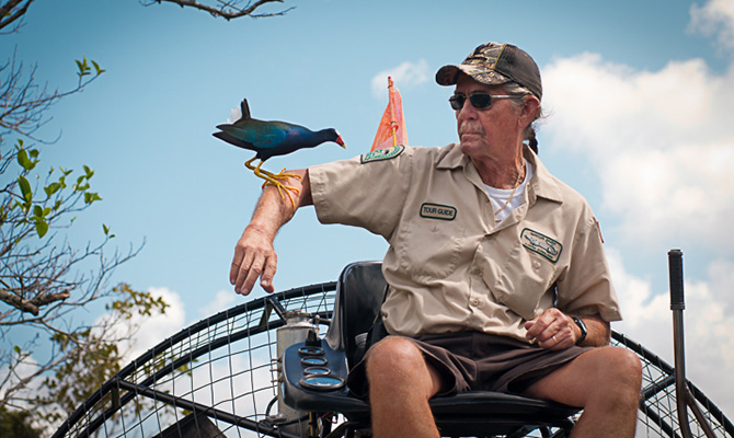 Everglades Bird on Tour Guide