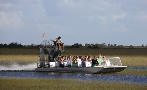 Exciting Airboat Tour