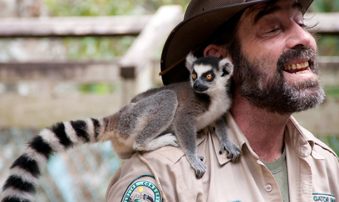 Wildlife Show Lemur