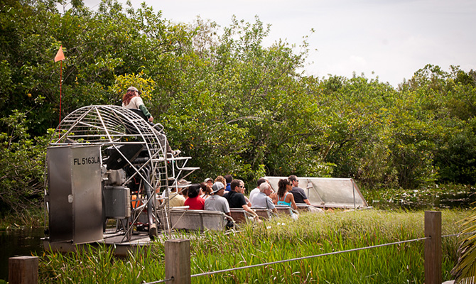 Exciting Airboat Tour